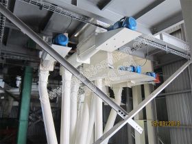 Screw feed system to the needle